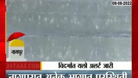 Video | विदर्भात यलो अलर्ट! हवामान खात्याकडून अलर्ट जारी 