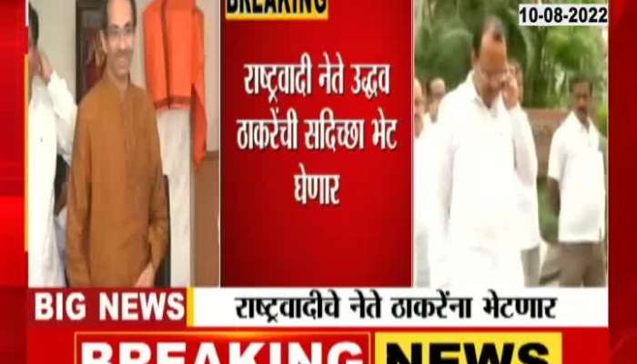 Video|Nationalist Congress leader will meet Shiv Sena chief Uddhav Thackeray