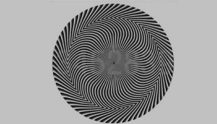 Optical Illusion: या फोटोत तुम्हाला कोणता नंबर दिसला? उत्तर वाचा आणि तुम्हीच ठरवा