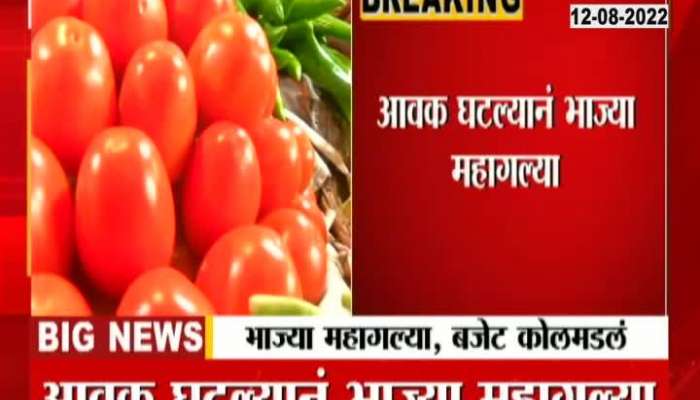 Video | The housewife's budget cola model, vegetables are expensive