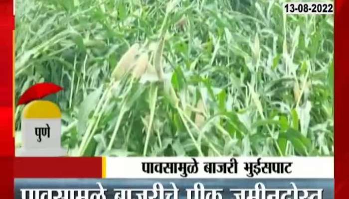Shirur Crop Loss Due to Heavy rain 