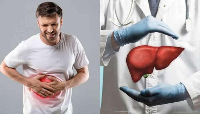 लिव्हरचा प्रॉब्लेम सतावतोय? खा फक्त हे एक फळ, मिळवा निरोगी Liver  