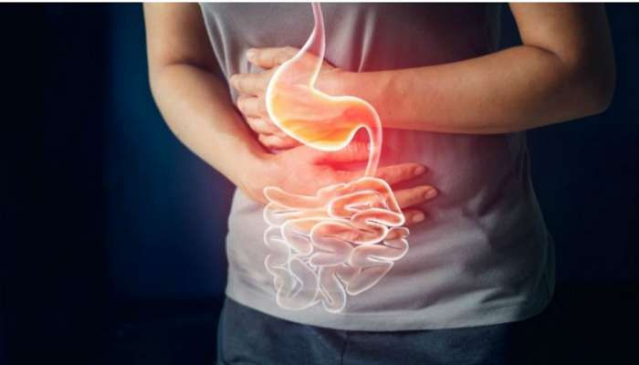 Home remedies for digestion: पचनासाठी उत्तम घरगुती उपाय, आधी वाचा नंतर थॅक्यू म्हणा 