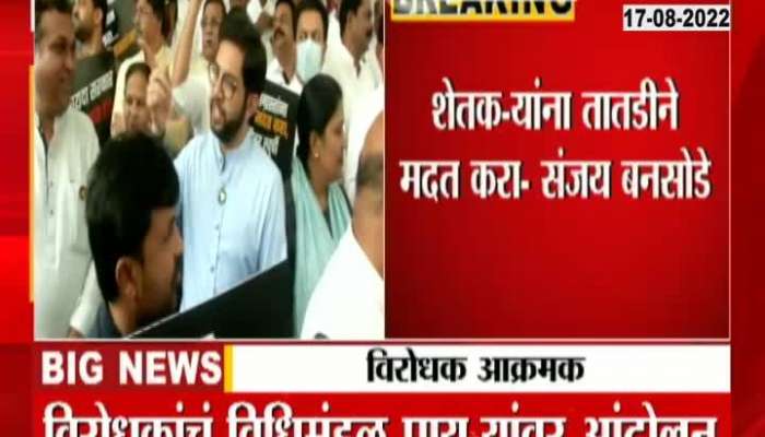 Yashomati Thakur criticizes Shinde Fadnavis government