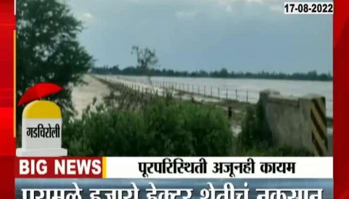 20 major roads under water in Gadchiroli, thousands of hectares of agriculture lost