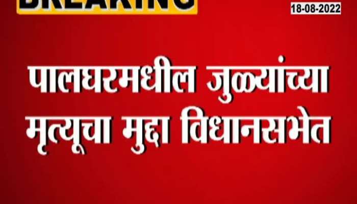 Opposition Leader Ajit Pawar Question Palghar Twins Passed Away CM Reply
