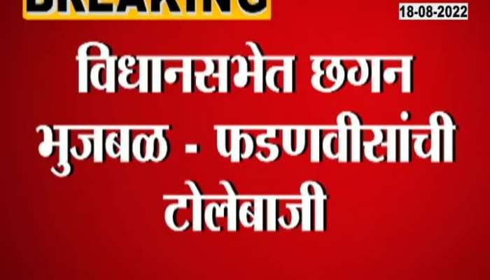 DCM Devendra Fadnavis Revert To Chhagan Bhujbal Remark On Types Of Beard