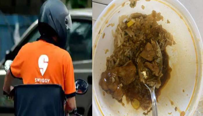 Swiggy वरुन मागवेल्या जेवणात आढळले चिकनचे तुकडे, अभिनेत्याचा धार्मिक भावना दुखावल्याचा आरोप 