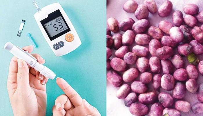 Diabetes Diet: &#039;डायबिटीस&#039;वर रामबाण हे आयुर्वेद फूड्स, साखर पातळी राहते नियंत्रण