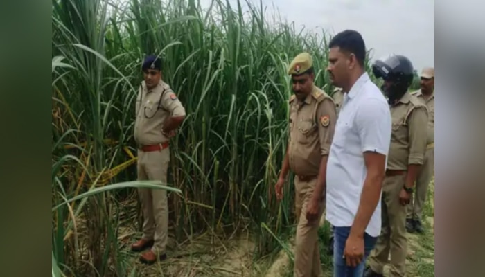 बेपत्ता मुलीचा दुसऱ्या दिवशी ऊसामध्ये सापडला मृतदेह, धक्कादायक घटना! 