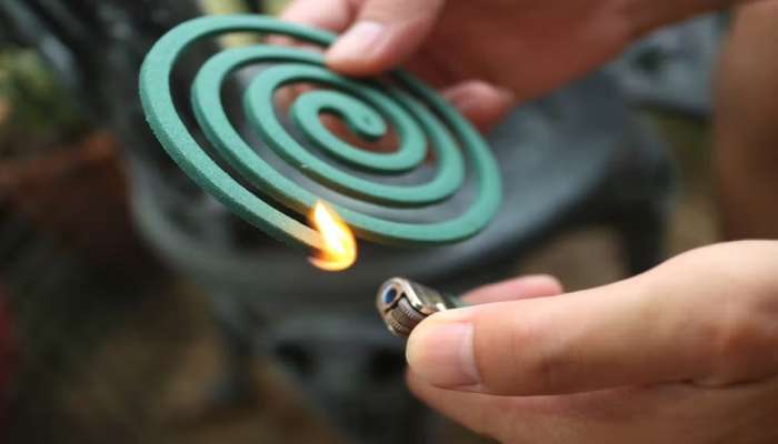 Mosquito coil : सावधान! तुम्ही डासांसाठी घरात ही कॉइल लावता का? जाणून घ्या आरोग्यासाठी किती घातक आहे…