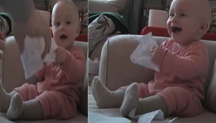 Viral: कागद फाडल्यानंतर लहान बाळानं दिली अशी प्रतिक्रिया, Video पाहिल्यावर तुम्हीही पोट धरून हसाल