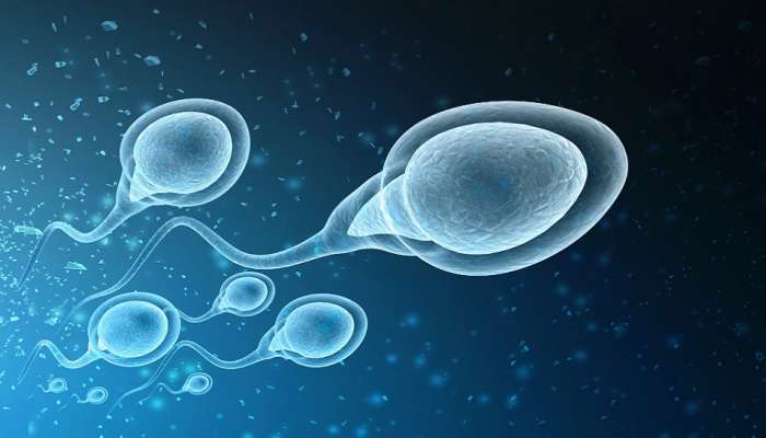 Low Sperm Count: शुक्राणूंची कमतरता असेल तरीही घरात पाळणा हलेल, या पद्धतीबाबत ऐकलंत का?
