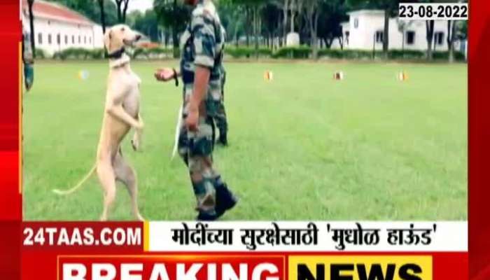 Maharshtra Mudhol Hunds May be roped into service by SPG 