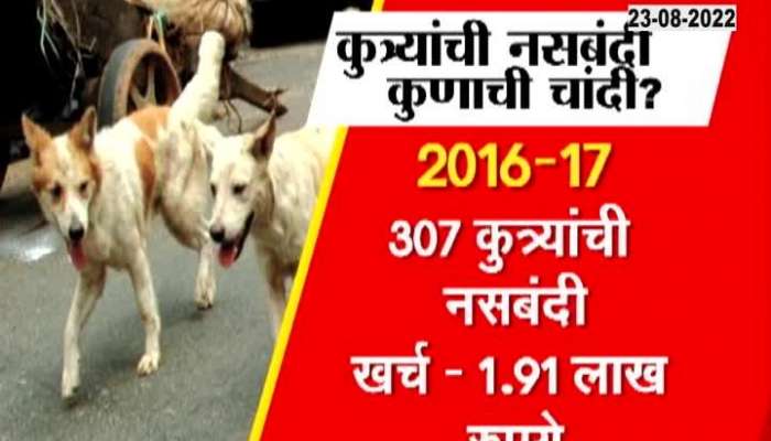 2.5 crore dog scam in Aurangabad 