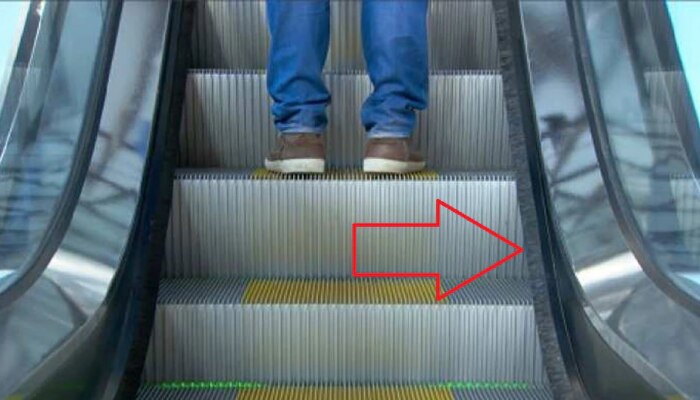 Escalator च्या किनाऱ्याला का असतात हे ब्रश? 99 % स्कॉलरही उत्तर देण्यात अपयशी 