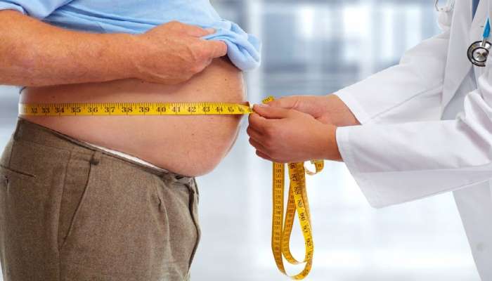 Best Weight Loss Tips: पोटावरील फॅट लोण्यासारखी वितळेल, वजन कमी करण्याचे उत्तम घरघुती उपाय