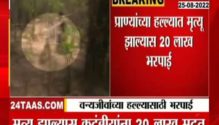 20 Lakh Rupees Compensation If Death In Animal Attack