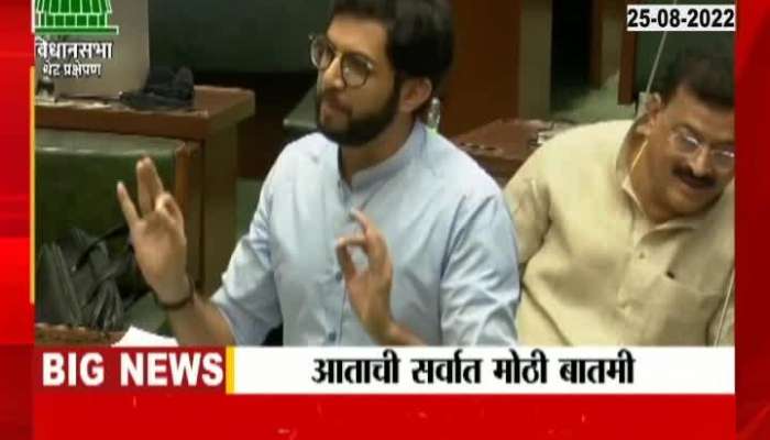 Aditya Thackeray's tongue slipped, used unparliamentary words
