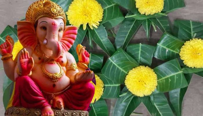 Ganesh Chaturthi : गणेश चतुर्थीला आंब्याच्या पानांचा असा करा वापर, बाप्पाच्या कृपेने व्हाल लखपती