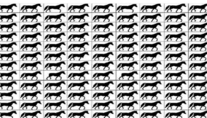 Optical Illusion : फोटोत लपलेत 3 पायांचे घोडे, शोधून दाखवाच