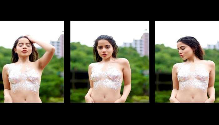 Urfi Javed Topless Photoshoot : उर्फी जावेदचं टॉपलेस फोटोशूट, युजर्स म्हणतात ही तर बर्फी!