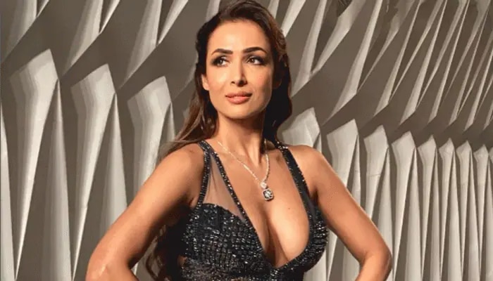 &#039;सलमान खानने मला...&#039;, घटस्फोटानंतर कोणावर संतापली Malaika Arora? मोठं सत्य समोर 