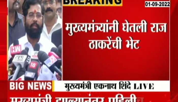 Goodwill meeting with Raj Thackeray, not political discussion - Chief Minister