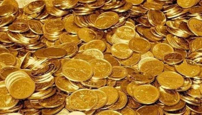 Gold Coins: घरात खोदकाम करत असताना जोडप्याच्या हाती लागलं इतक्या कोटींचं घबाड