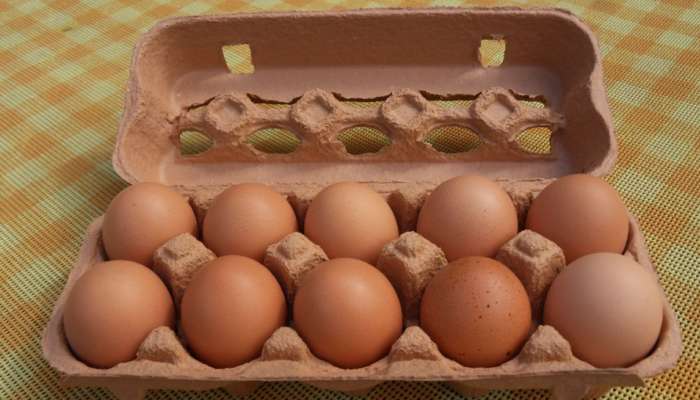 अंडी ताजी की शिळी; कशी ओळखायची? झटपट समजून घ्या 'या' सोप्या पद्धती