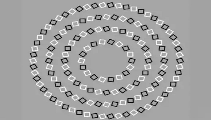 Optical Illusion : फोटोत दिसणारे वर्तुळ शोधता शोधता डोकं भणभणेल; उत्तर मिळालं तर मानलं