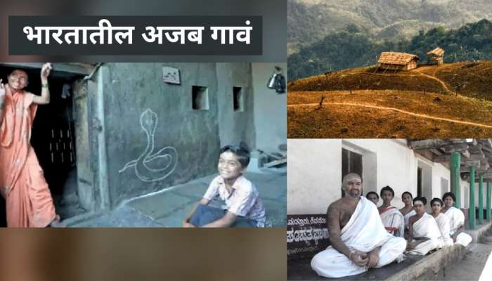 भारतातील पाच गावांची अजब कहाणी, Cobra सह एकत्र राहण्याऱ्या महाराष्ट्रातील &#039;या&#039; गावाबाबत; जाणून घ्या