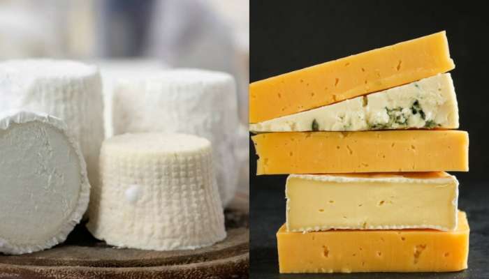 World’s Most Expensive Cheese: या जनावराच्या दुधापासून जगातील सर्वात महागडे बनवले जाते पनीर, किंमत ऐकून बसेल धक्का