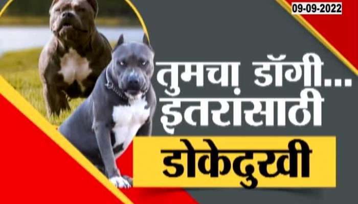Special Report On Pet Lover Pain For Neighbours