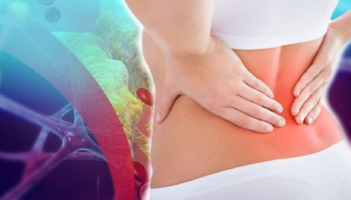 High Cholesterol Sign: शरीराच्या 'या' 3 भागातील वेदना उच्च कोलेस्ट्रॉलचं असू शकतं लक्षण!