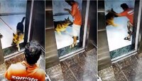 Shocking! लिफ्टमध्ये डिलिव्हरी बॉयच्या प्रायव्हेट पार्टला कुत्र्याचा चावा