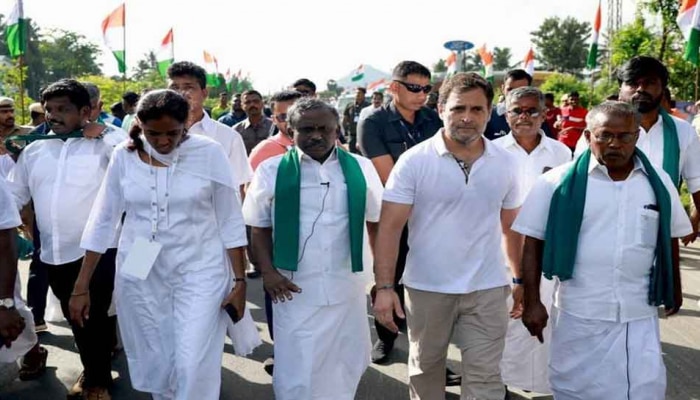 Congress vs BJP: राहुल गांधी यांच्या टी-शर्टची किंमत किती असेल? भाजपने ट्विट करुन सांगितली किंमत