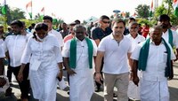 राहुल गांधी यांच्या टी-शर्टची किंमत किती असेल? भाजपने ट्विट करुन सांगितली किंमत