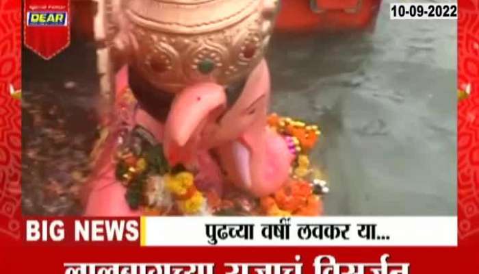 Immersion of Raja of Lalbagh after 22 hours of procession, watch video