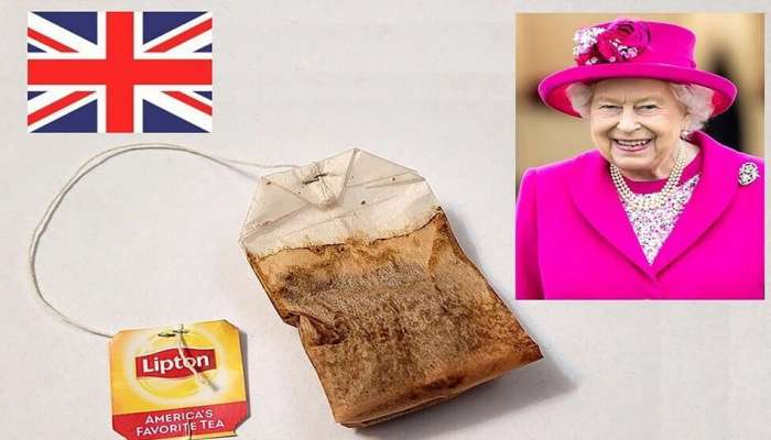 Queen Elizabeth II नं वापरलेल्या Tea Bag चा लिलाव, किंमत ऐकूण व्हाल थक्क