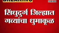 Video | रानगव्याची ताकद पाहा; रिक्षाला धडक दिल्यानंतर झालं काय?  