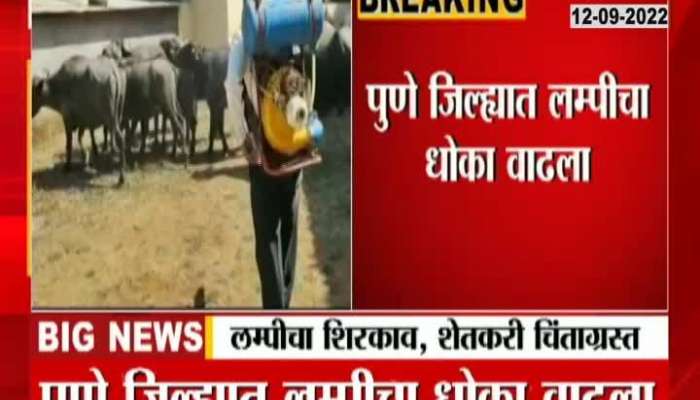 Lumpy threat increased in Pune, 4 animals died