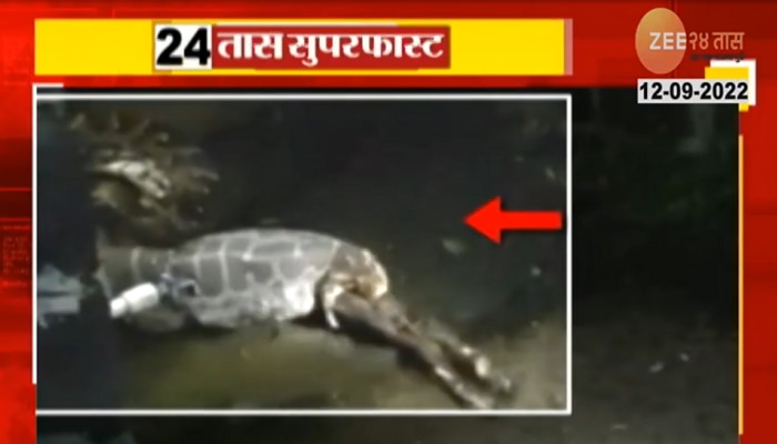 OMG! महाकाय अजगराने नेमकं गिळलं तरी काय आहे ?, पाहा Shocking Video