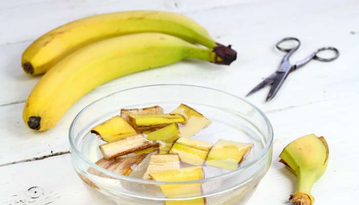 Banana Peels: केळीची साल देखील खूप उपयुक्त, जाणून घ्या फायदे