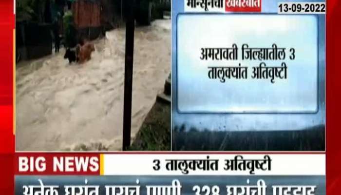 Due to heavy rain in Amravati, villages were under water and cattle were washed away in places