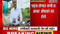 Video | लम्पीसाठी सरकारकडून टोल फ्री क्रमांक जारी