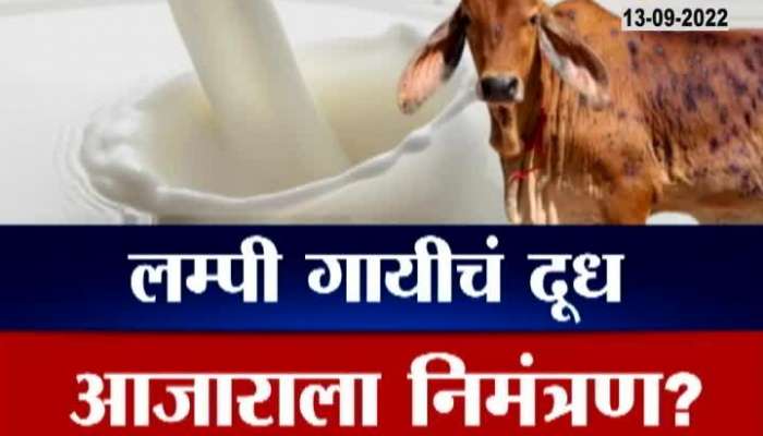 Is Lumpy transmitted through milk from an infected cow? Know what is the real truth