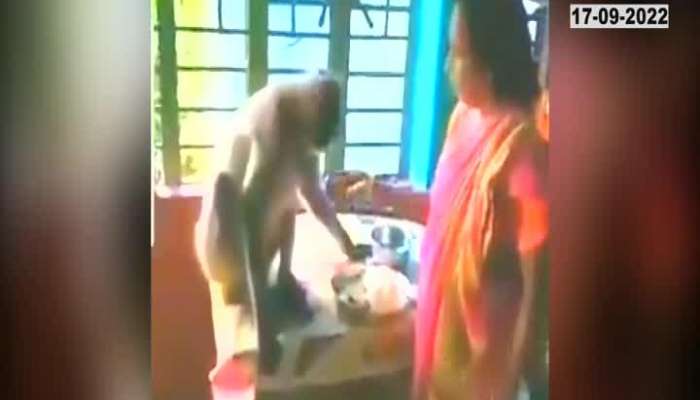 The woman fed the monkey like a child