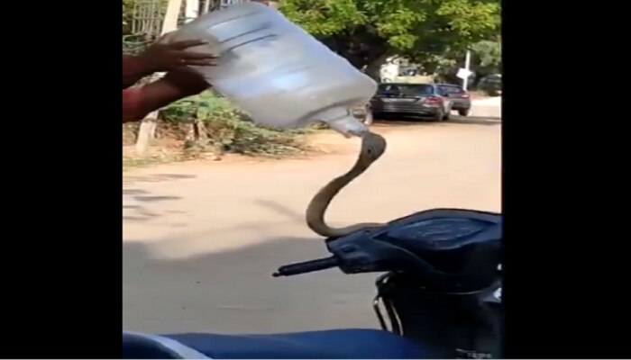  viral Video स्कुटीतून निघाला king Cobra..तुमच्यासोबतही घडू शकतो हा प्रकार..