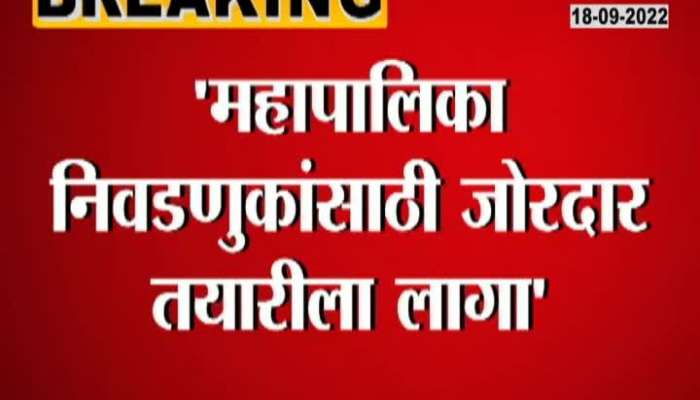 Raj Thackeray's orders to prepare vigorously for municipal elections